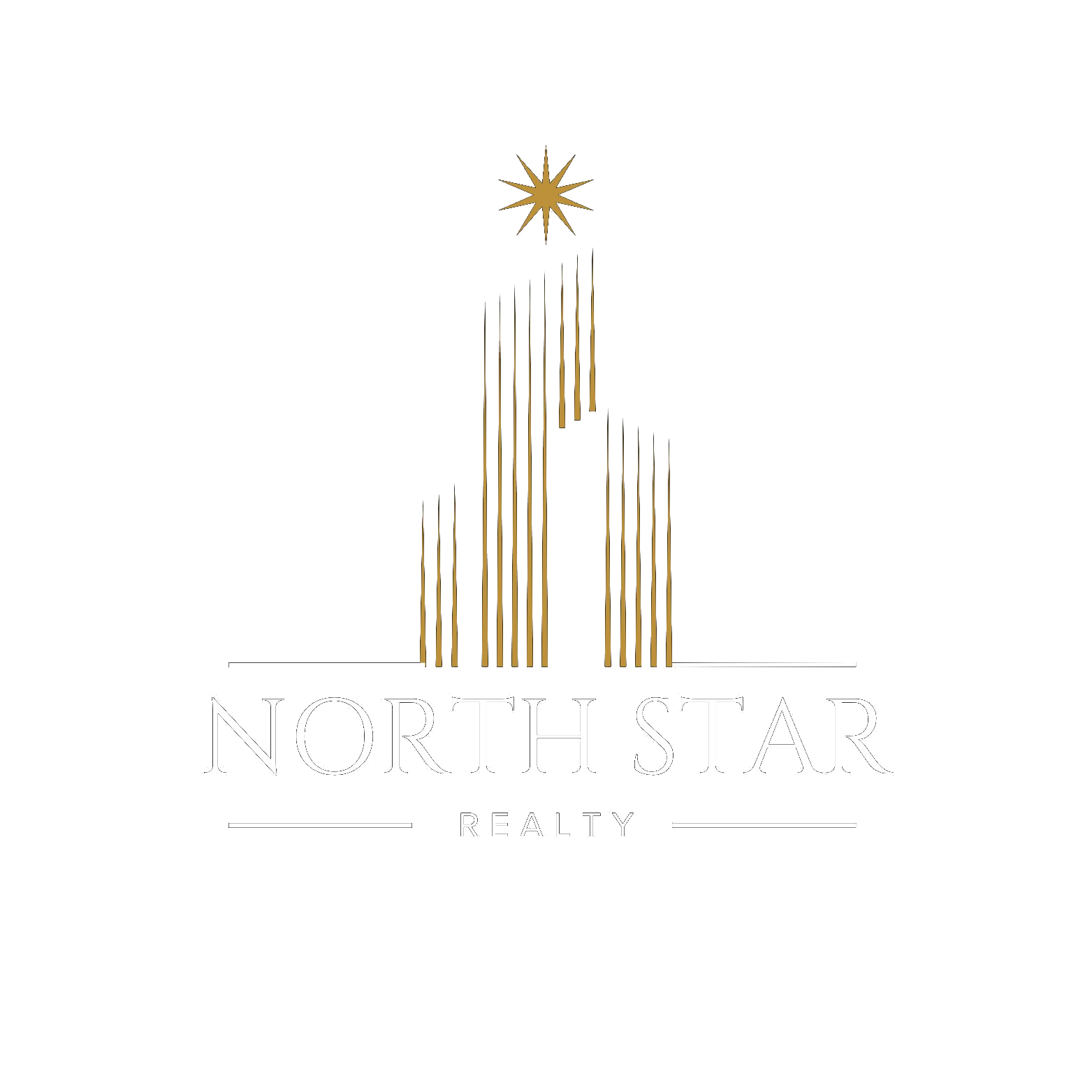 North Star Realty